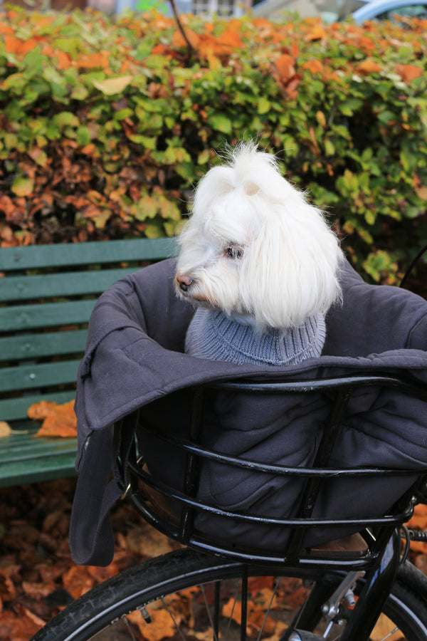 RIO Hundetasche Warmgrau