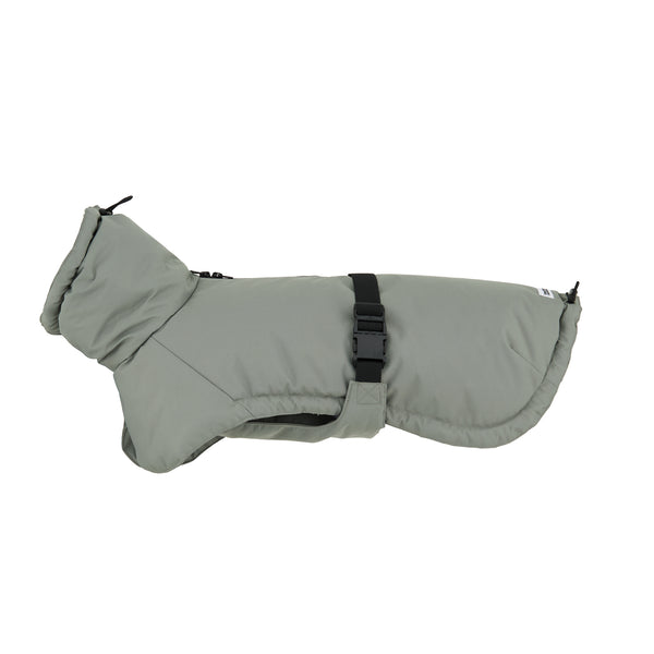 Winterjacke Grün