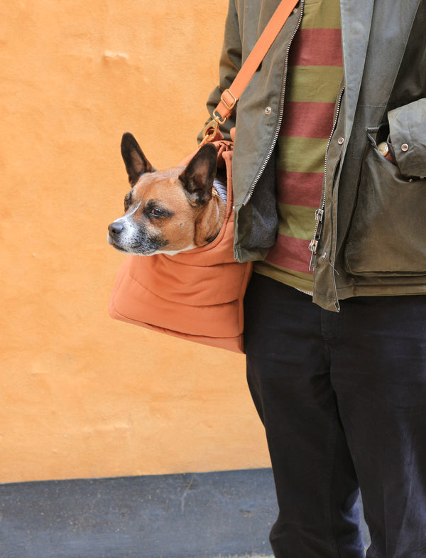 RIO Hundetragetasche Hellbraun, biologisch und waschbar, 1 kg bis 15 kg Hunde
