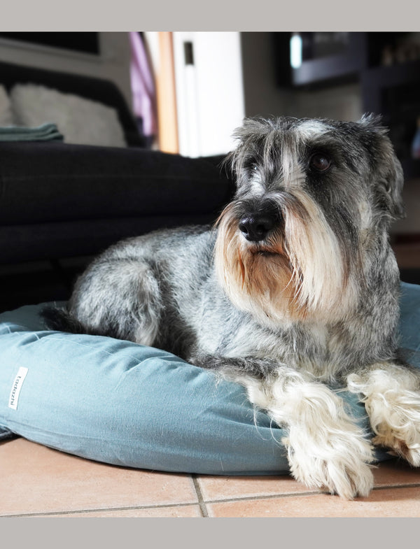 Hundebett Poespas Blau