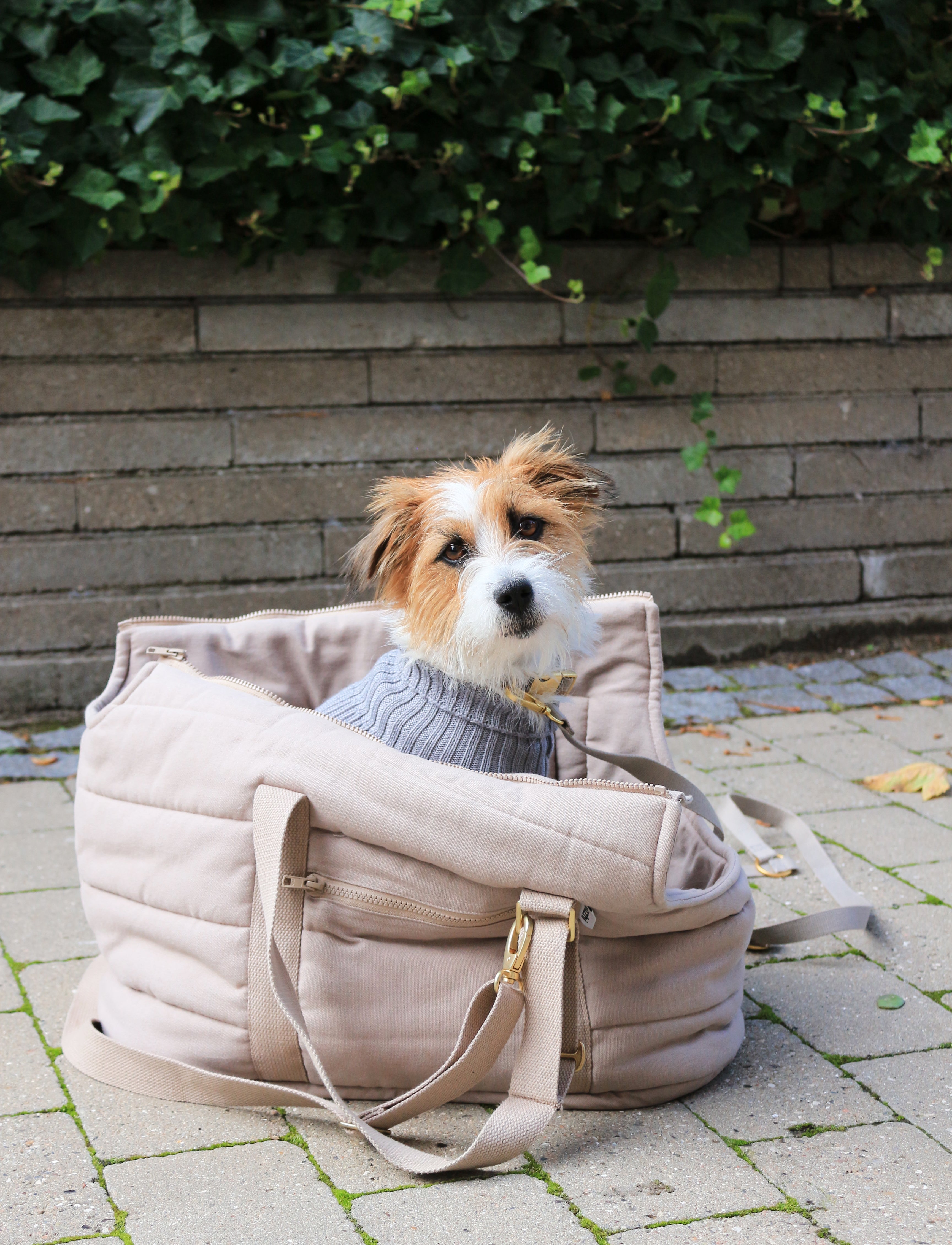 fahrradtasche hund 10 kg RIO Hundetasche Dunkler Sand – Bio & Wasserabweisend