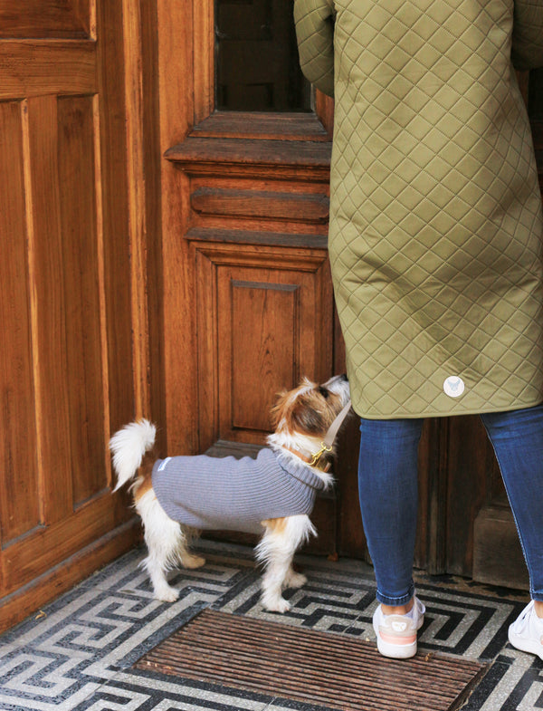 Unisex-Hundepullover aus Wolle Grau