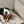 Hundedecke Sand
