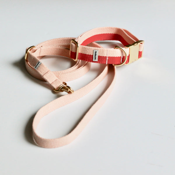 Halsband & Leinen Set Rot Rosa - Archive
