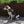 Luna Step-in Hundegeschirr Grüner Sand