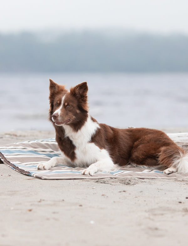 Hundedecke Klassisch gestreift