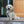 Luna Harness & Leash Set PRE-ORDER + PALA food Gift