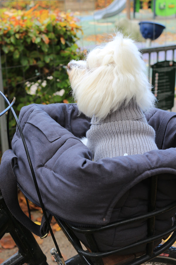 Hundepullover aus Wolle für Damen Grau