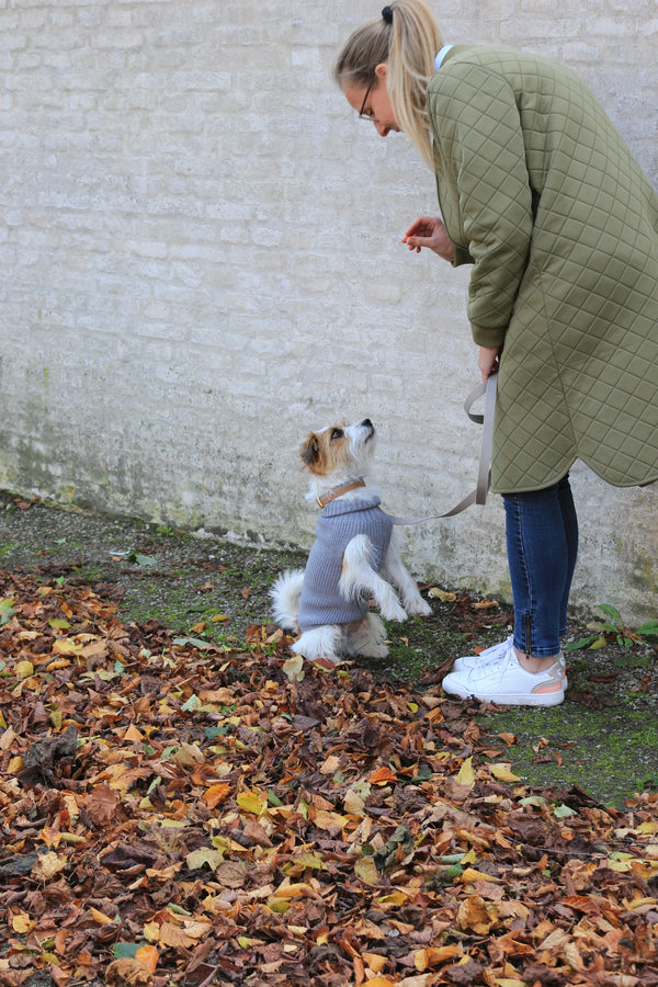 Hundepullover aus Wolle für Damen Grau