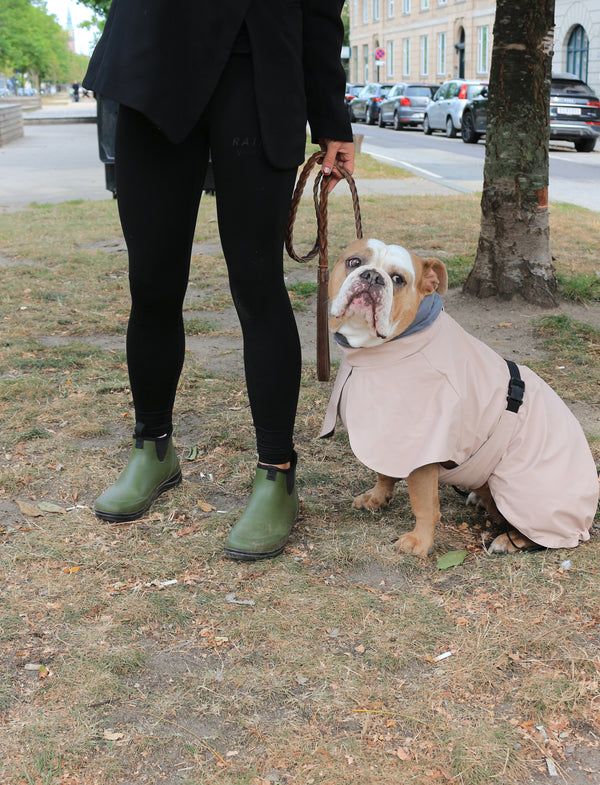 Raincoat Rose