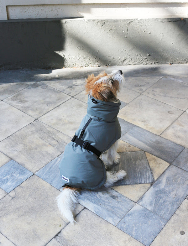 Winter Jacket Green