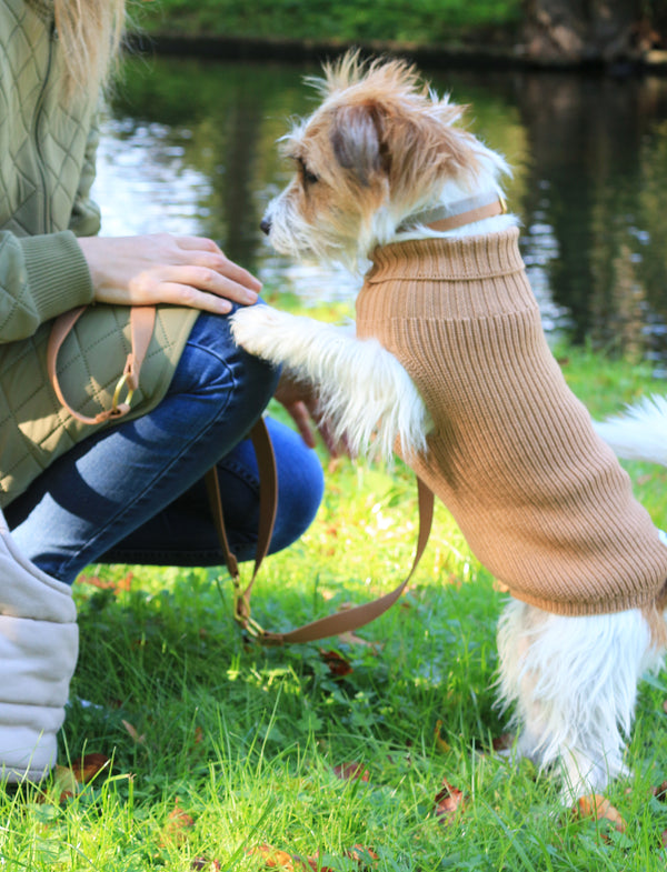 Hundepullover aus Wolle für Damen Beige