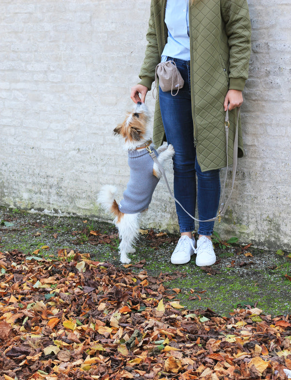 Hundepullover aus Wolle für Damen Grau