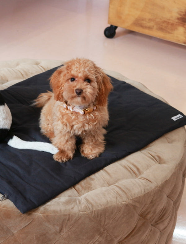 minimalistic dog blanket with bag with a maltipoo on it