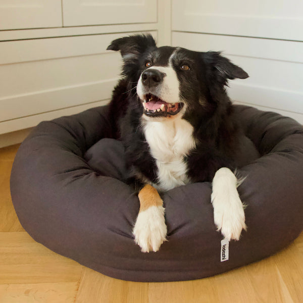 bordercollie in warm grey donut bed