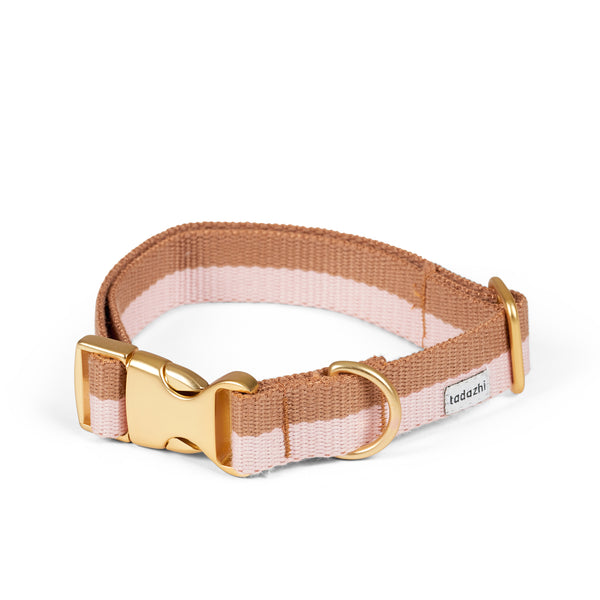 modern dog collar powder light brown