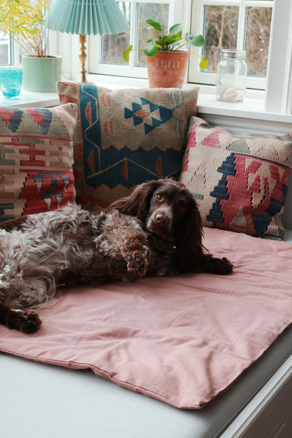 GOTS dog blanket with a springer spaniel on it