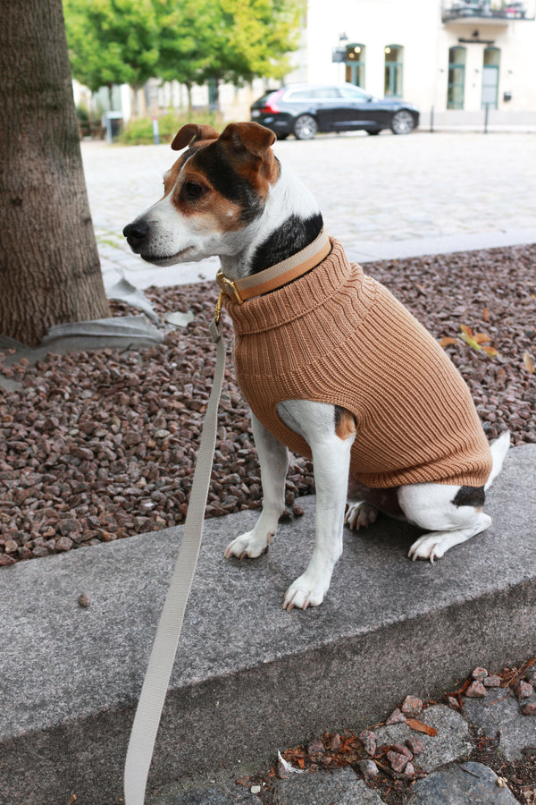 Hundepullover aus Wolle für Damen Beige