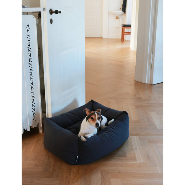 scandinavian design dog bed carla with a danish swedish farmdog in it