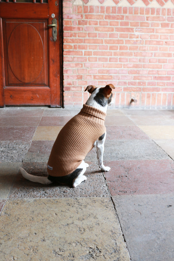 Hundepullover aus Wolle für Damen Beige