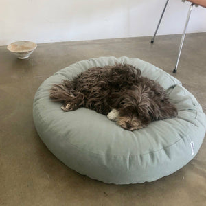 round design dog cushion with havanese dog resting on it