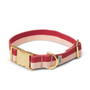 contemporary dog collar red powder